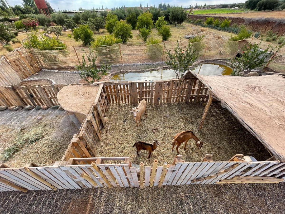 Hotel Jnan Lotf Marrakech - Le Jardin De La Bienviellance El Harkat Exterior foto