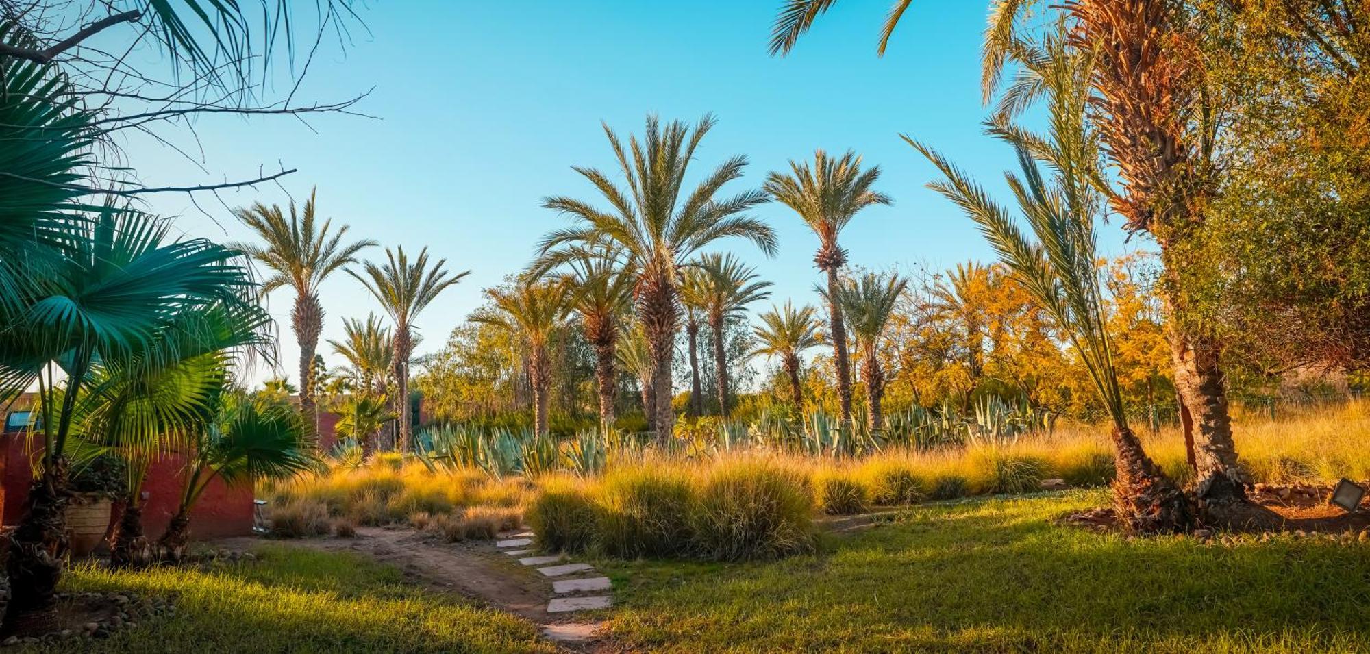 Hotel Jnan Lotf Marrakech - Le Jardin De La Bienviellance El Harkat Exterior foto